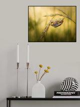 Spring fun Poster och Canvastavla
