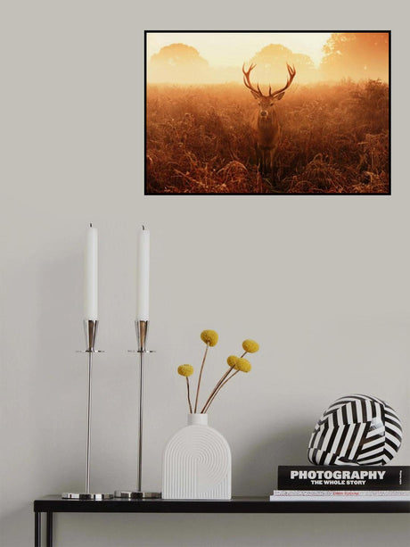 V^V Poster och Canvastavla
