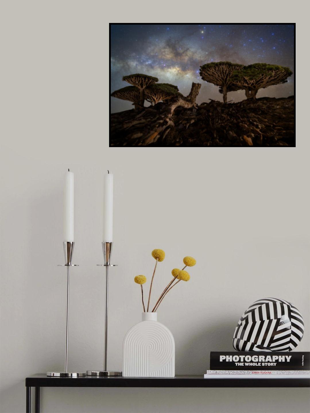 Dragons of Socotra Poster och Canvastavla