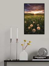 Poppy World Poster och Canvastavla