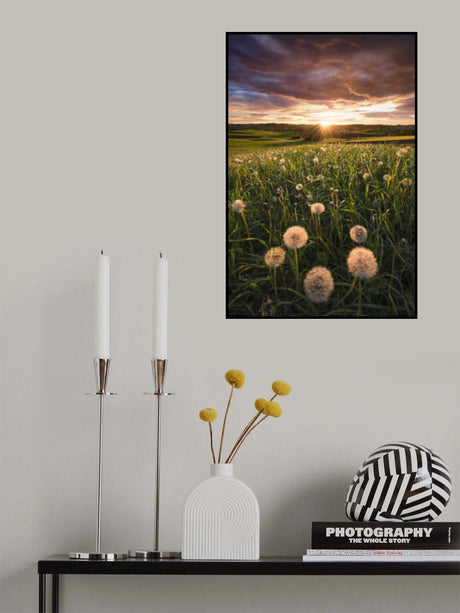 Poppy World Poster och Canvastavla