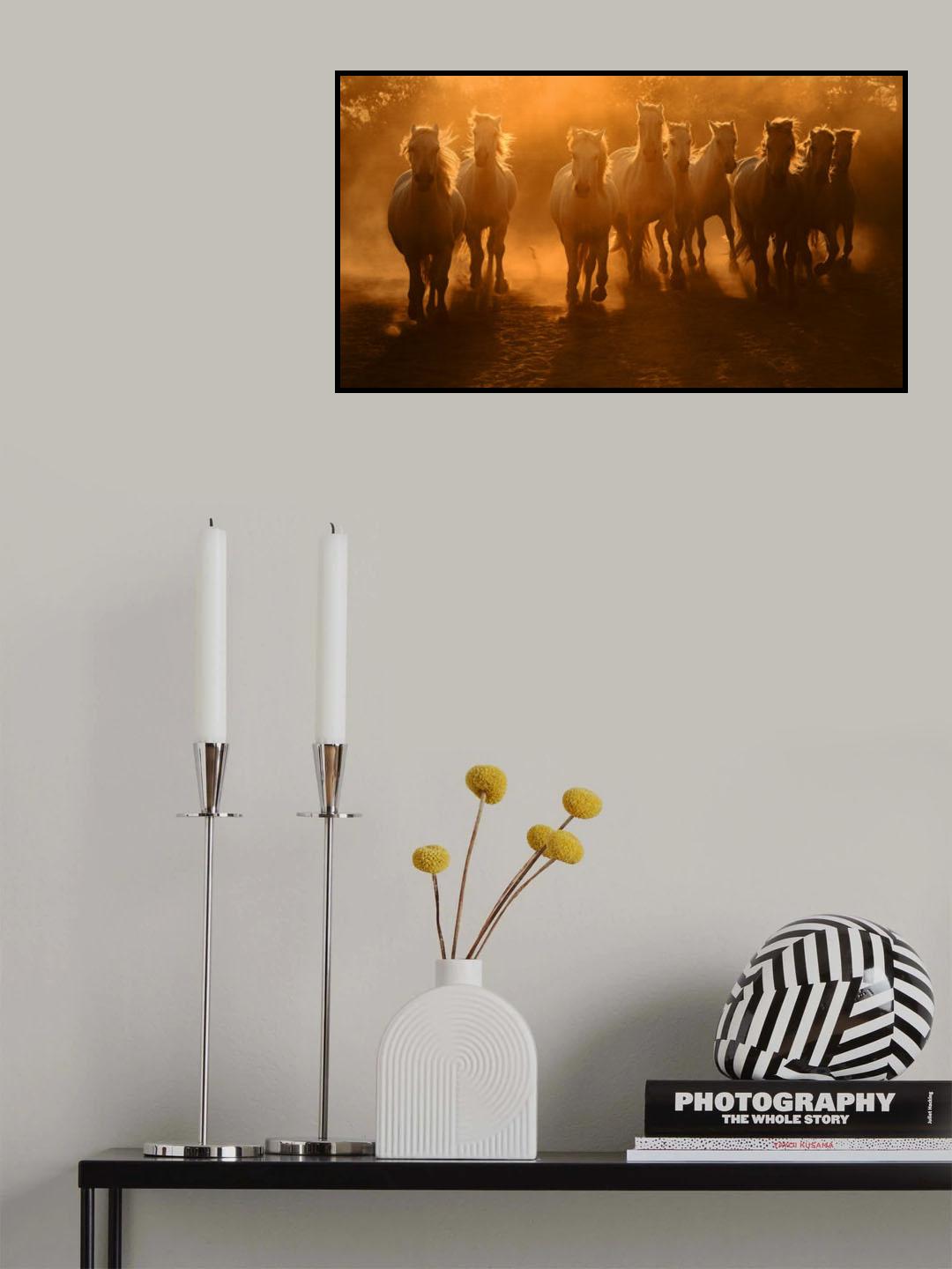 In the evening sun Poster och Canvastavla