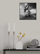 Dead Wish Poster och Canvastavla