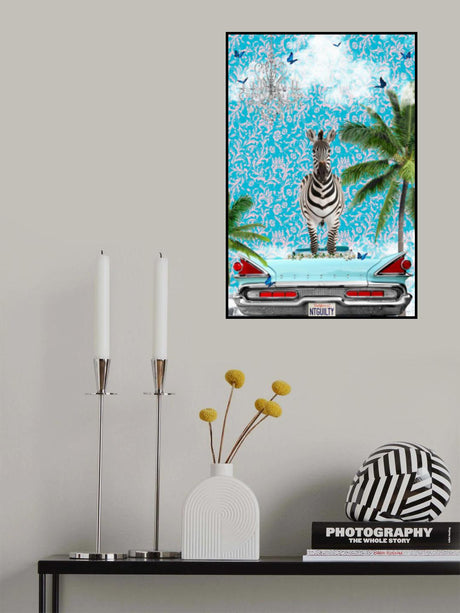 Zebra California Dream Poster och Canvastavla