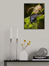Food chain Poster och Canvastavla