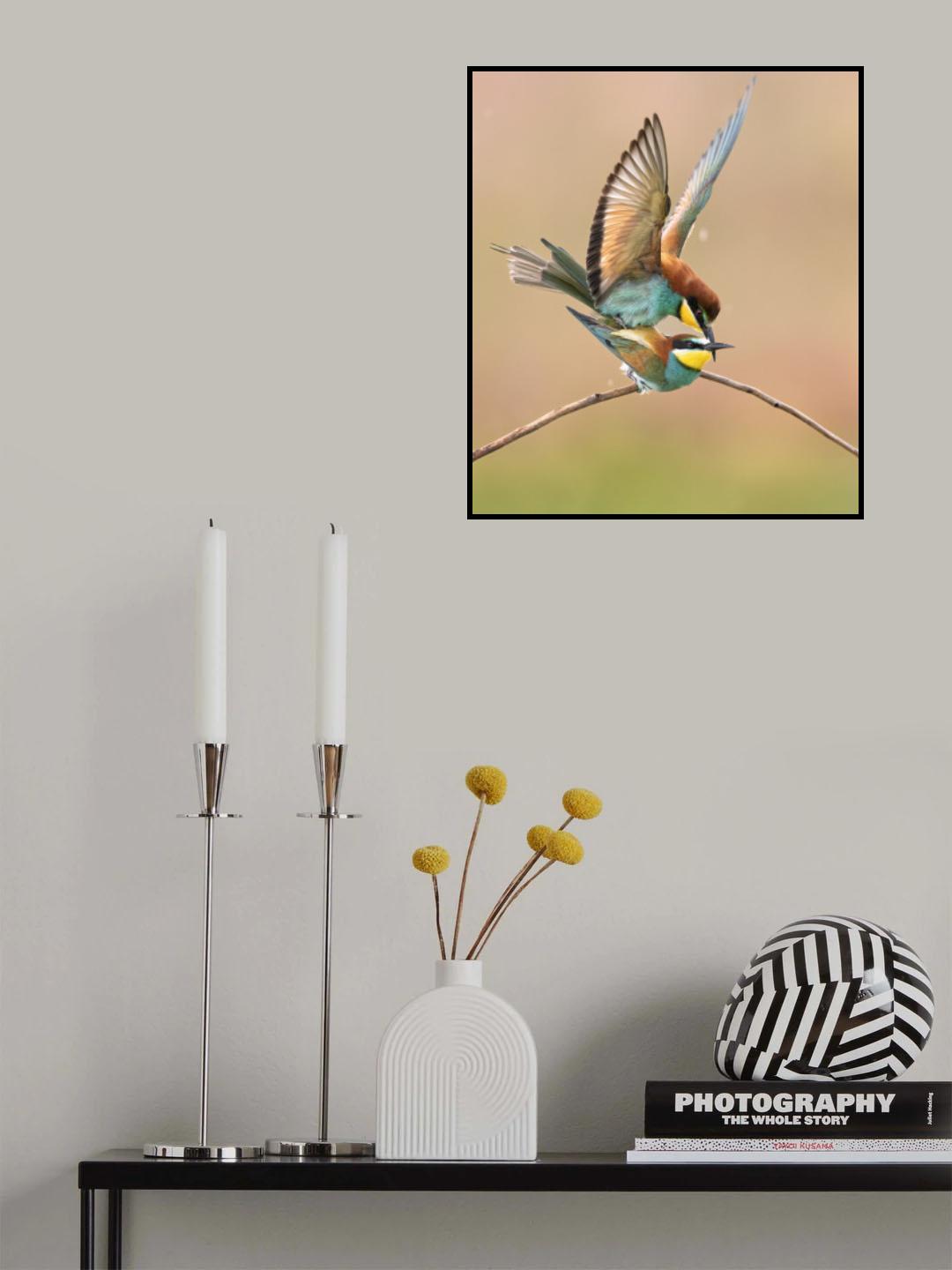 Bee eater love Poster och Canvastavla