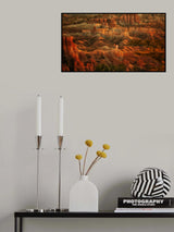 Red Palace Poster och Canvastavla