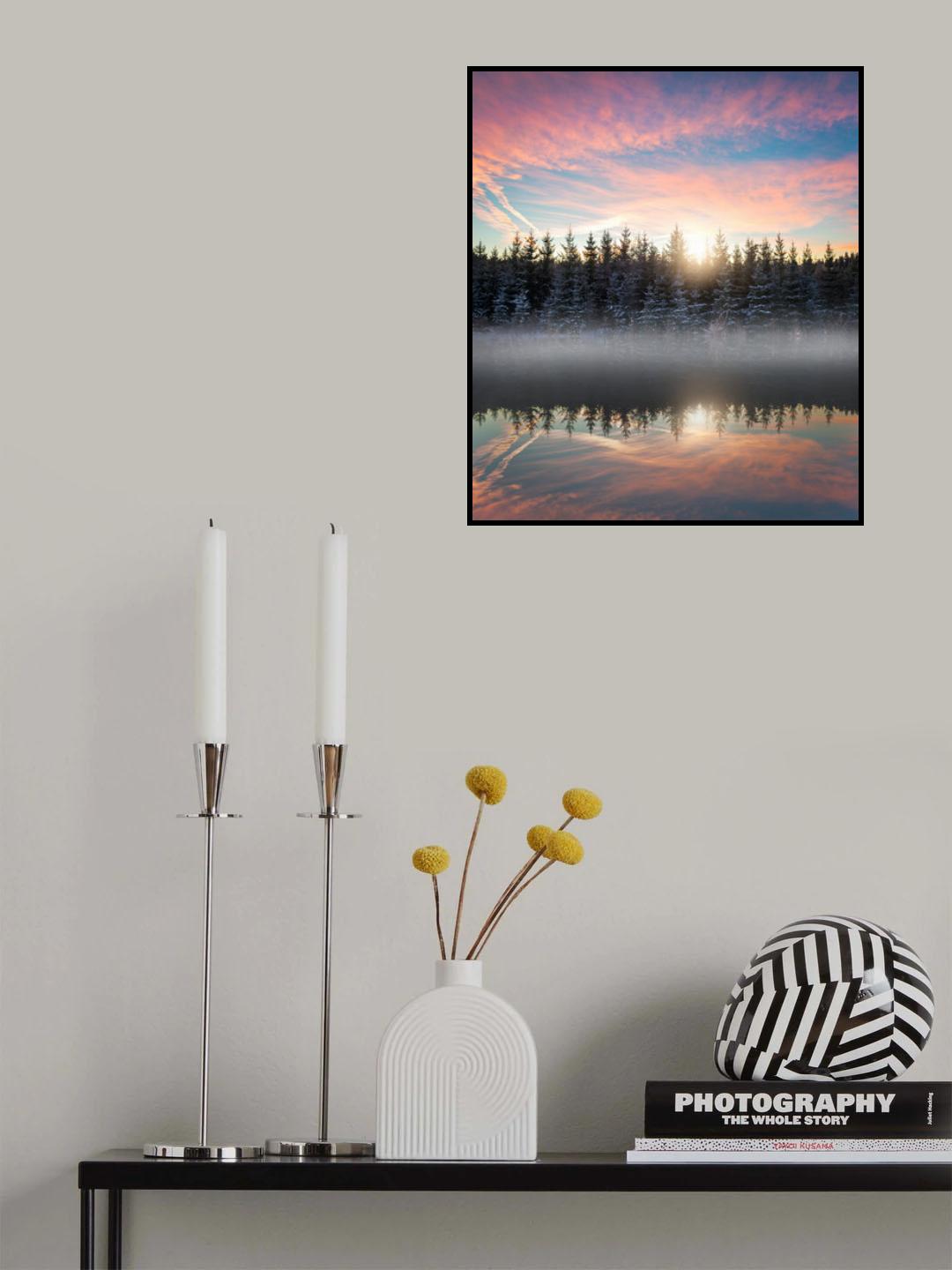 Small lake in the forest Poster och Canvastavla