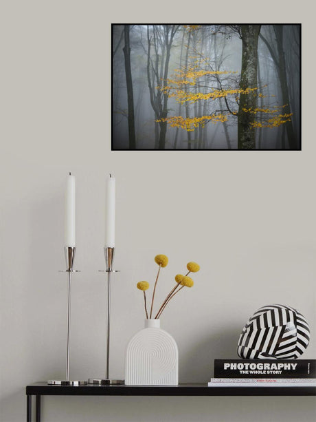 Beech Forest in Autumn Poster och Canvastavla