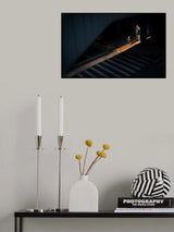 Lights on you Poster och Canvastavla