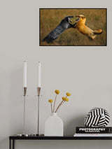 Fighting Poster och Canvastavla