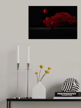 Dancing with the  balloon Poster och Canvastavla