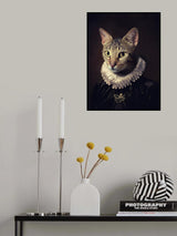 Sir Kiko Poster och Canvastavla