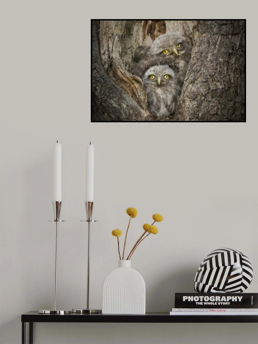 Civ and Civ Poster och Canvastavla