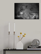 Poster och Canvastavla