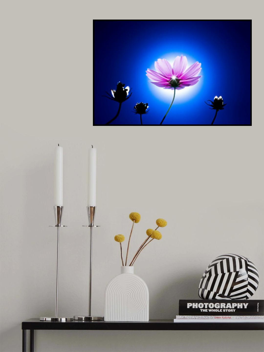 glows Poster och Canvastavla