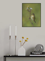 spring bird Poster och Canvastavla