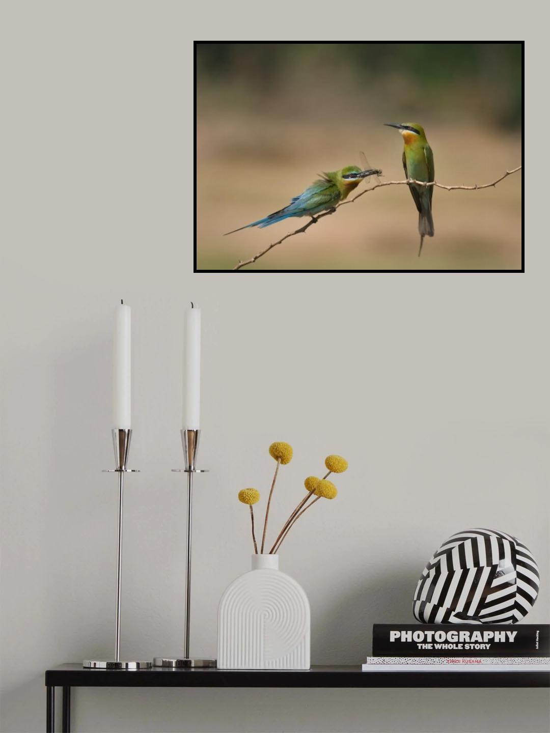 Courting Poster och Canvastavla