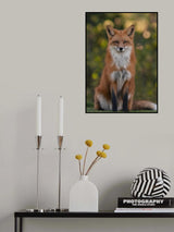 Red Fox Poster och Canvastavla
