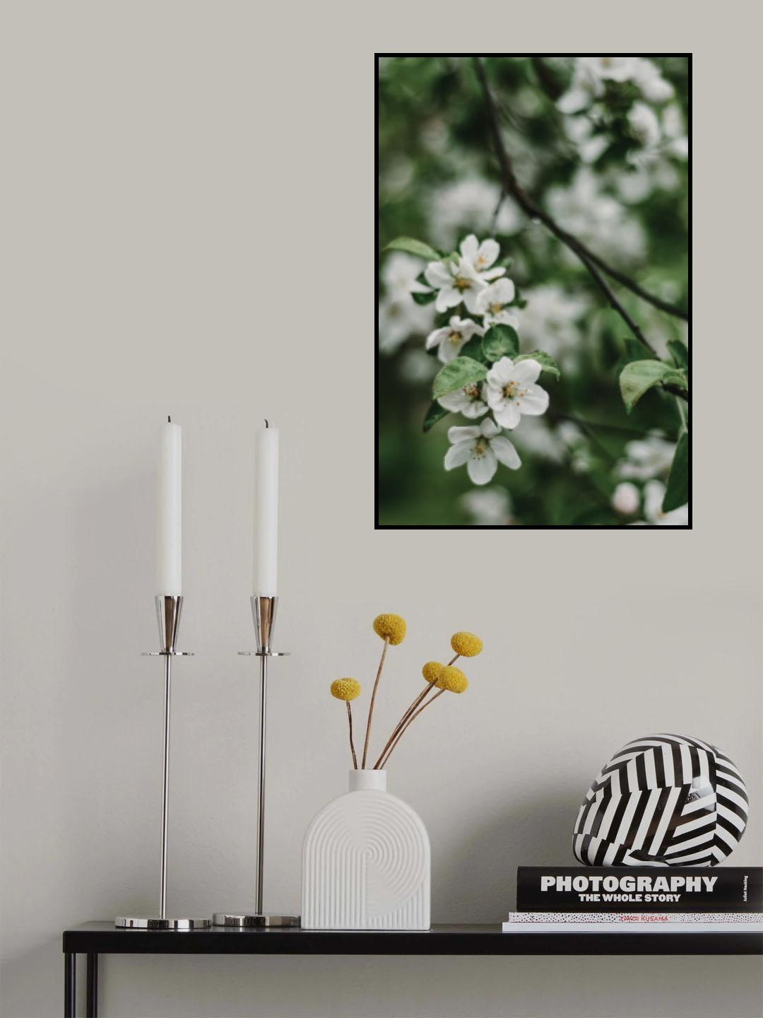Spring Series - Apple Blossoms in the Rain 3/12 Poster och Canvastavla