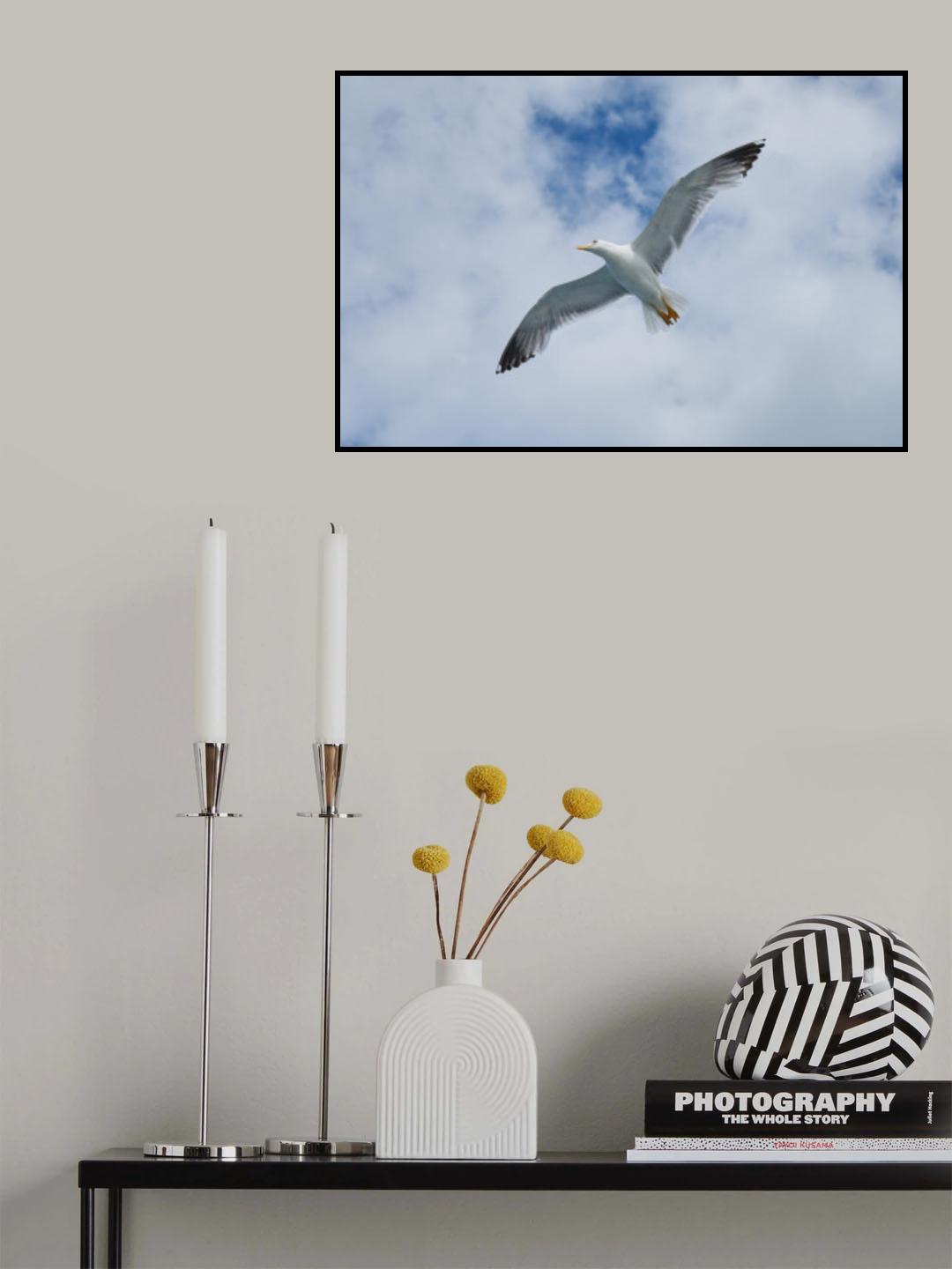 flying seagull Poster och Canvastavla