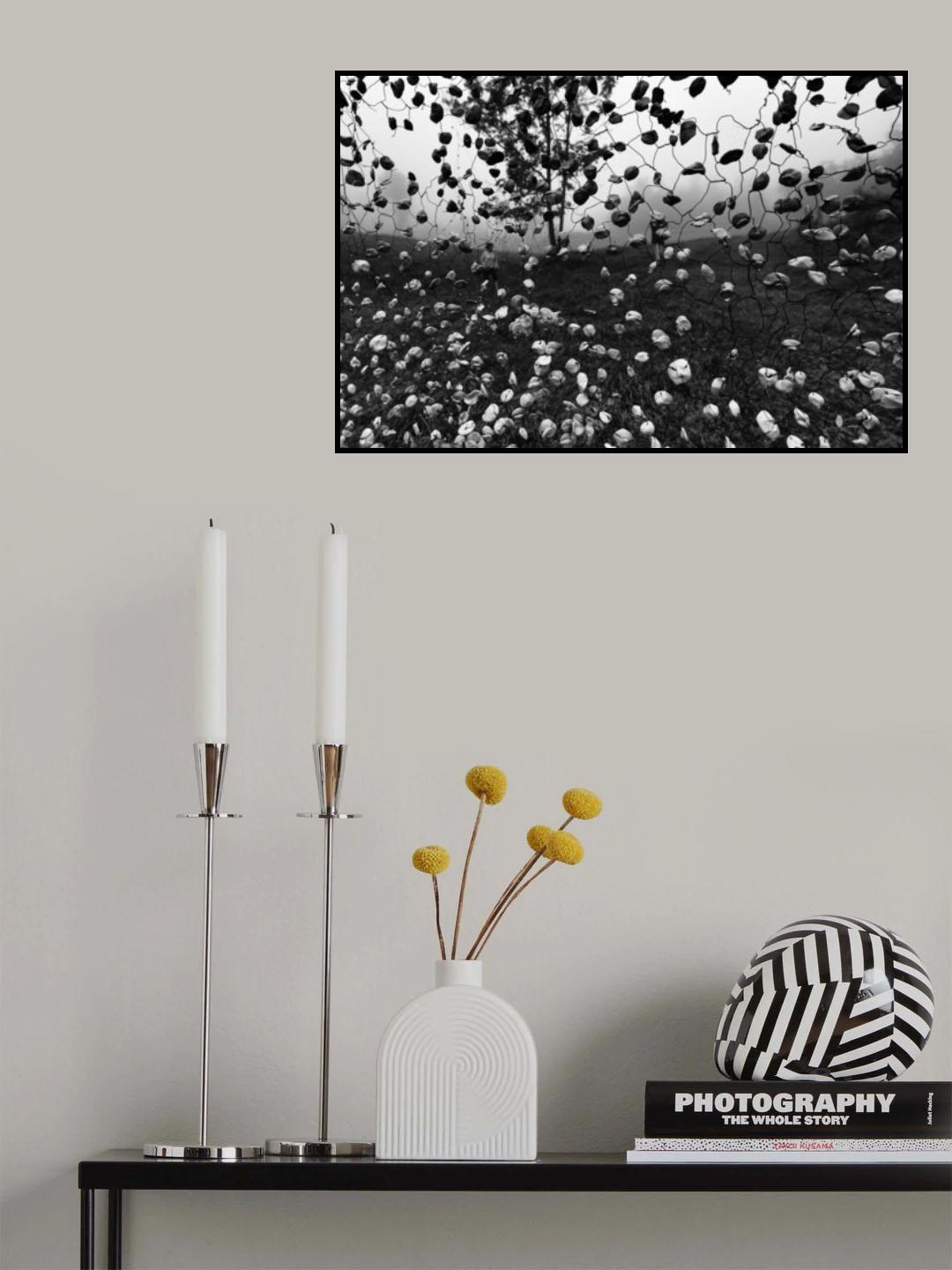 A raining day Poster och Canvastavla