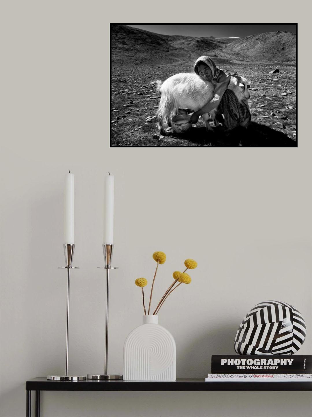 Poster och Canvastavla