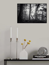 mysterious light Poster och Canvastavla