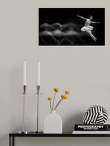 Fly Poster och Canvastavla