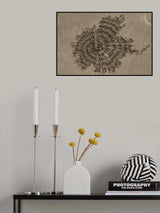 Art of a crab Poster och Canvastavla