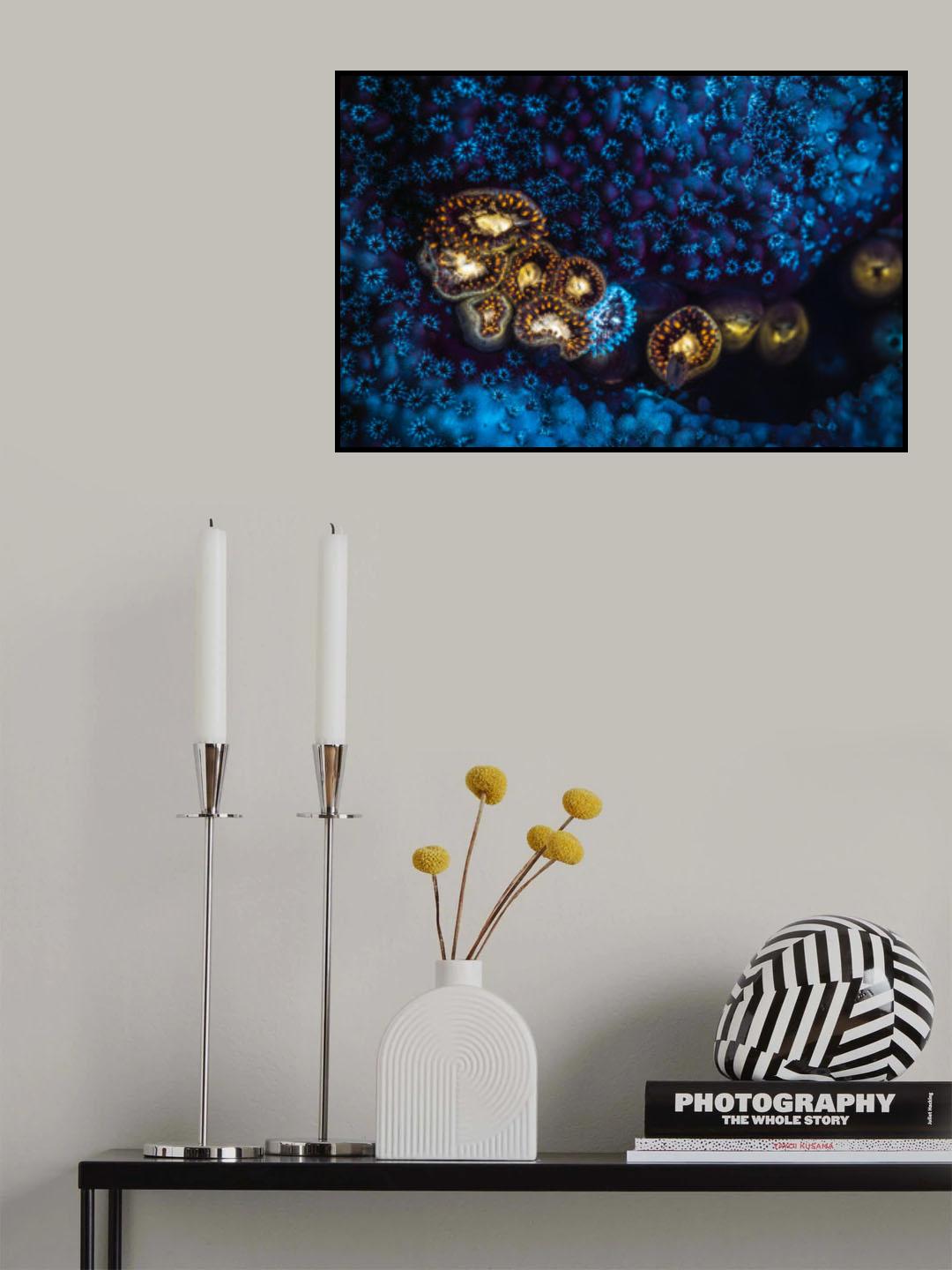 Anemone and Fluorescent Coral Poster och Canvastavla