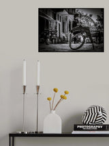 leap of joy Poster och Canvastavla
