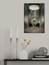 The Ballerina Poster och Canvastavla