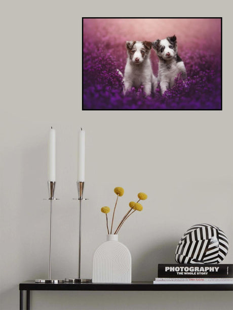 Brothers Poster och Canvastavla