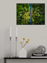 Road in the forest Poster och Canvastavla