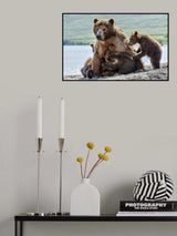 Poster och Canvastavla