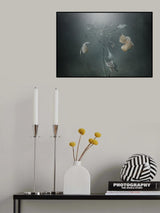 Withe hydrangea Poster och Canvastavla