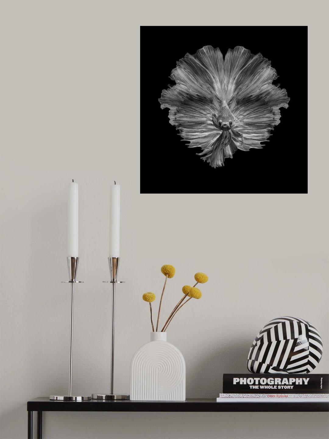 The Flower of tail Poster och Canvastavla