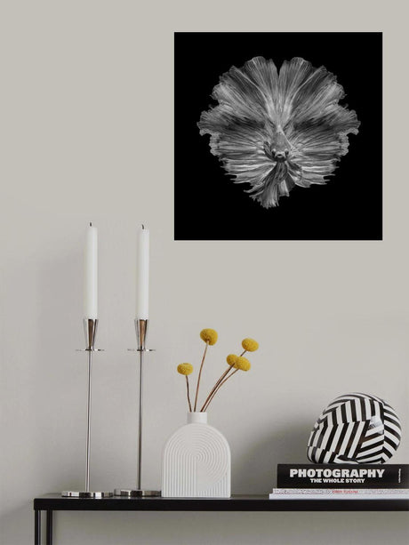 The Flower of tail Poster och Canvastavla