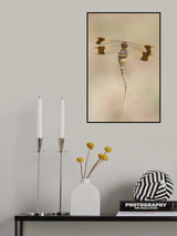 Banded Darter Poster och Canvastavla