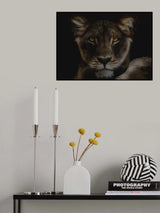 Bold Poster och Canvastavla