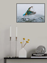 Success! Poster och Canvastavla