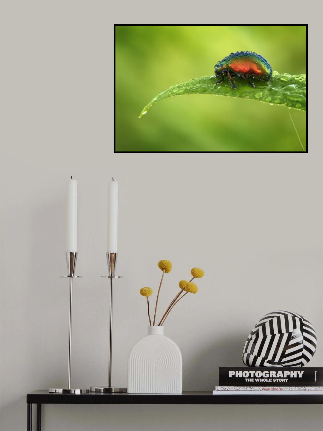 Rainbow on a leaf Poster och Canvastavla