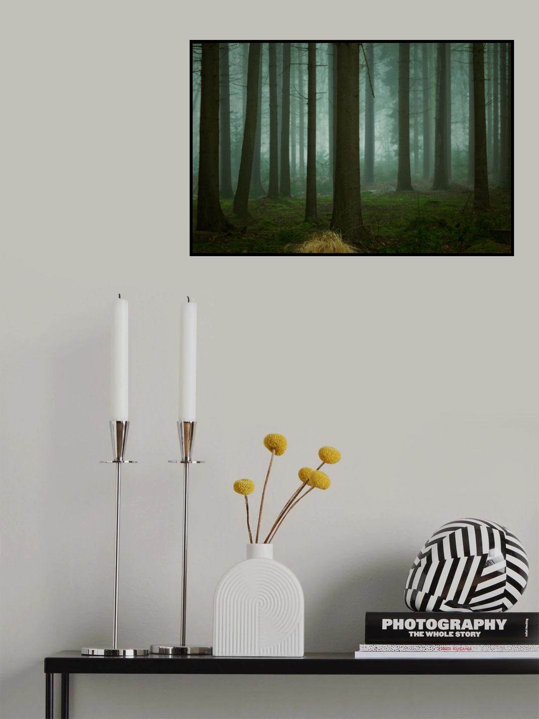 The Cold, Dark Days of Winter Poster och Canvastavla