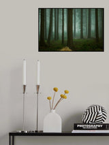 The Cold, Dark Days of Winter Poster och Canvastavla