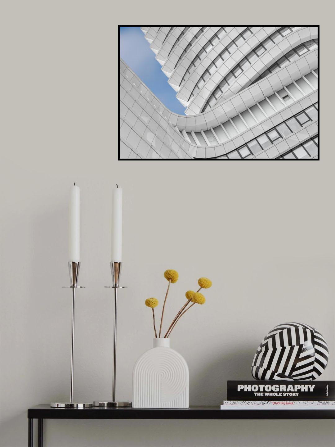 Curly Whites Poster och Canvastavla