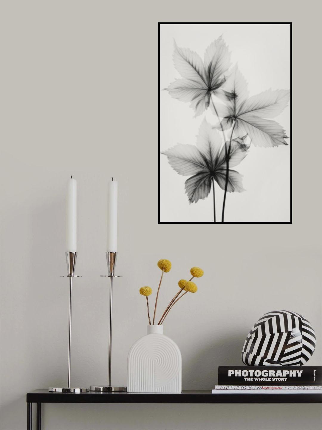 Transparent Botanic No 5 Poster och Canvastavla