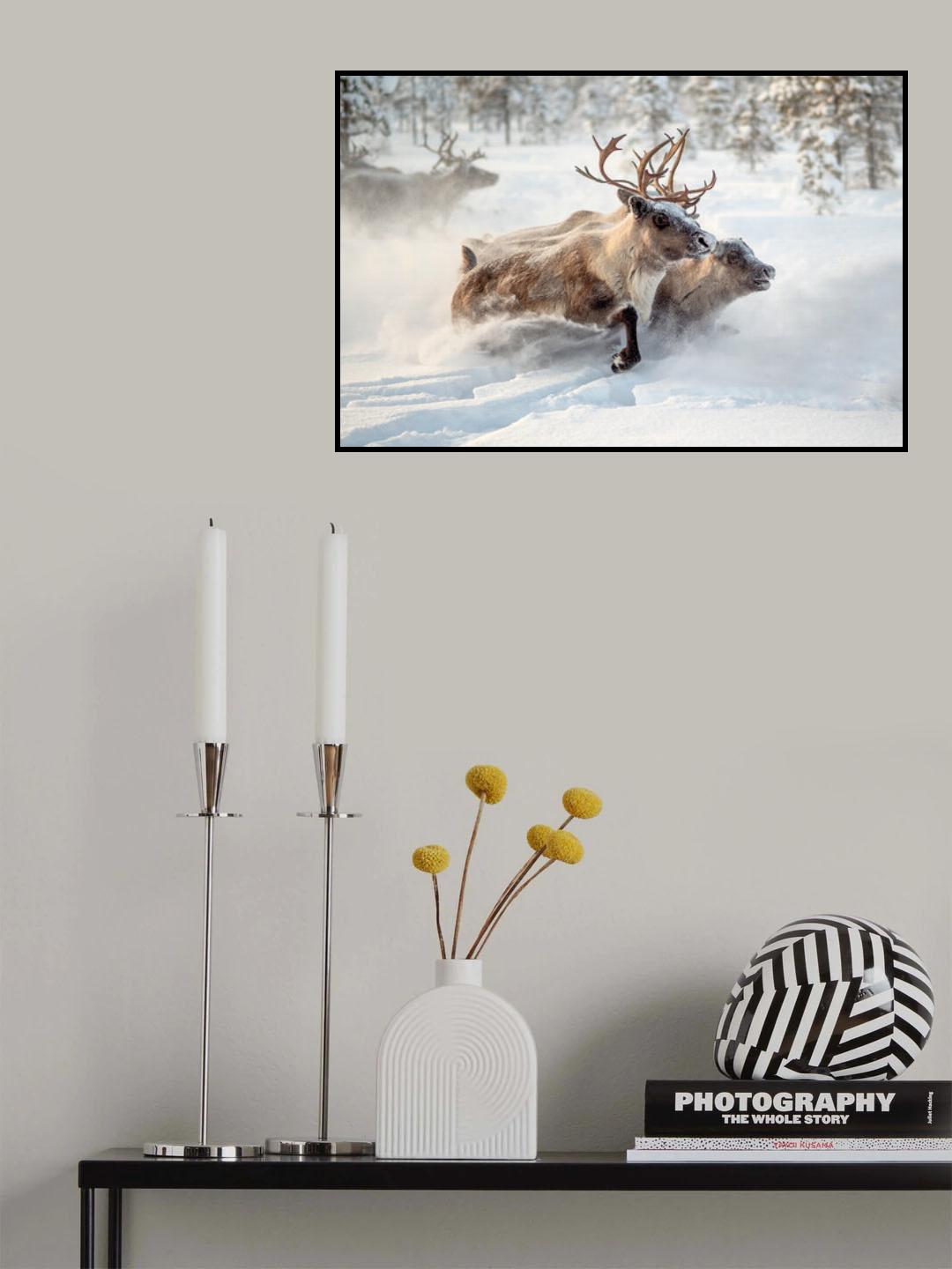 The herd VI Poster och Canvastavla