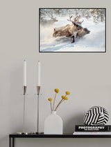 The herd VI Poster och Canvastavla