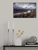 Fast train Poster och Canvastavla